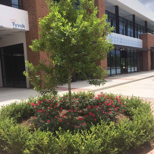 Commercial landscaping by Waypoint Landscaping
