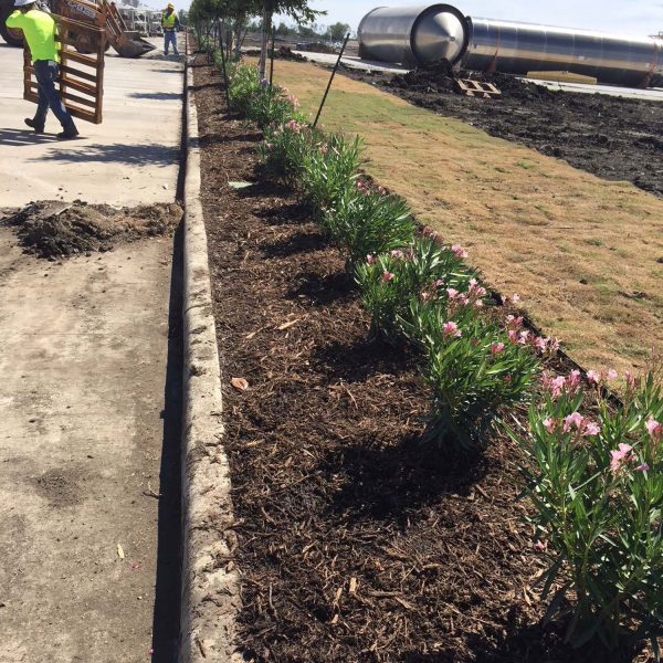 commercial landscaping by Waypoint Landscaping